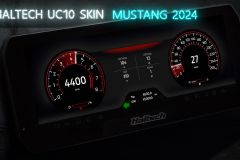 Ford Skin Haltech