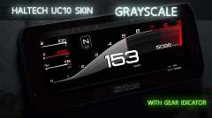 1_haltech-uc10-digital-dash-skin-grayscale-with-gear-indicator
