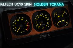 Holden Skin Haltech