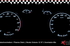 skoda_oktavia_1z_2007_plasmatachoscheiben