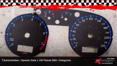 vw_passat_3bg_ed35_raster_tachoscheiben